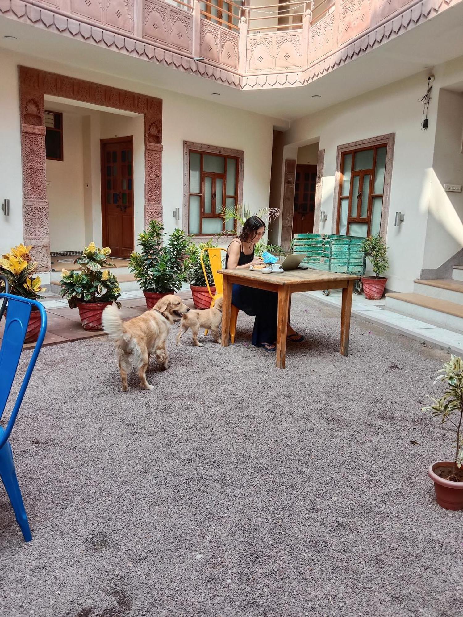 Hotel Rigmor Haveli Dźodhpur Zewnętrze zdjęcie